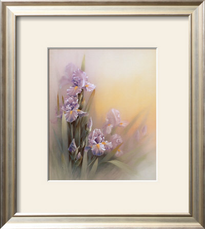 Violet Iris by T. C. Chiu Pricing Limited Edition Print image