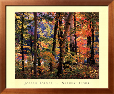 Maples And Birches by Joseph Holmes Pricing Limited Edition Print image