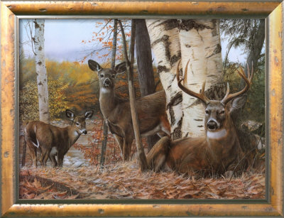 Autumn's Majesty by Kevin Daniel Pricing Limited Edition Print image