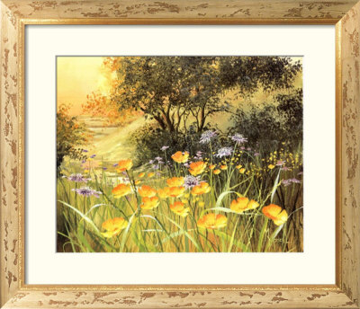Golden Sunset by Mary Dipnall Pricing Limited Edition Print image