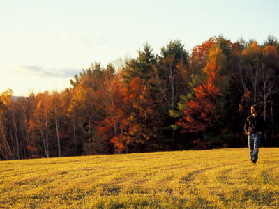 Field On Rossview Farm, Merrimack River Valley, Concord, New Hampshire, Usa by Jerry & Marcy Monkman Pricing Limited Edition Print image