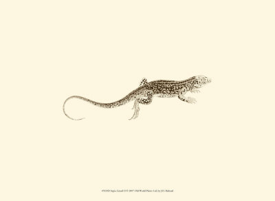 Sepia Lizard Ii by J. H. Richard Pricing Limited Edition Print image