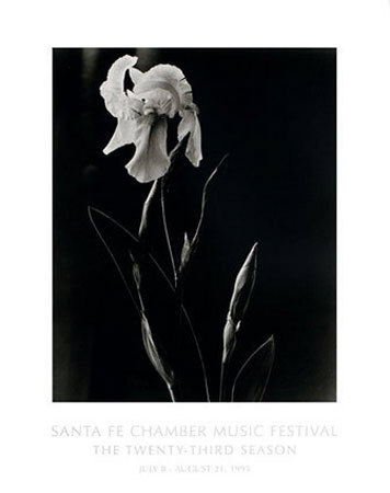 White Iris by Laura Gilpin Pricing Limited Edition Print image