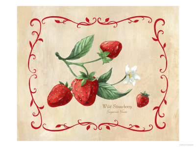 Wild Strawberries by Elizabeth Garrett Pricing Limited Edition Print image