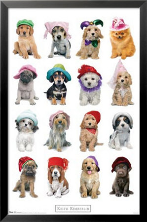 Puppies With Hats by Keith Kimberlin Pricing Limited Edition Print image