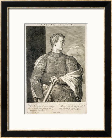 Gaius Caesar Caligula Emperor Of Rome 37-41 Ad by Titian (Tiziano Vecelli) Pricing Limited Edition Print image