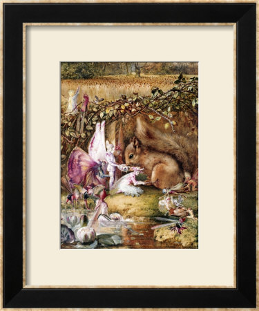 The Wounded Squirrel by John Anster Fitzgerald Pricing Limited Edition Print image