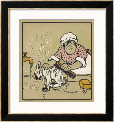 Little White Dog Is Washed Under The Cold Tap - He's Not Very Happy About It! by Cecil Aldin Pricing Limited Edition Print image
