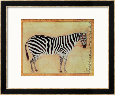 Zebra, From The Minto Album, Mughal, 1621 by Ustad Mansur Pricing Limited Edition Print image