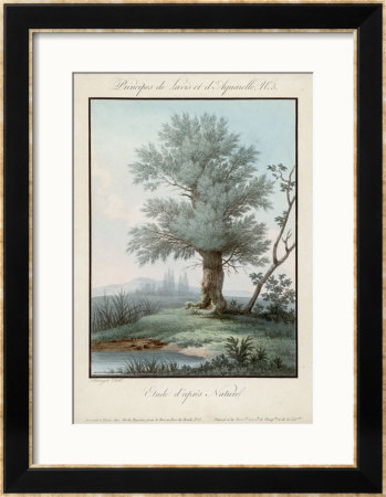 Willow Tree At The Side Of A Pond by Piringer Pricing Limited Edition Print image