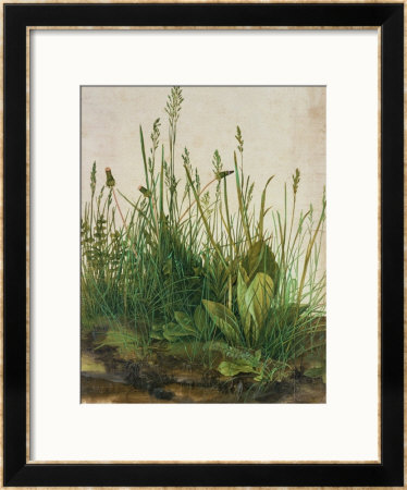 Large Piece Of Turf, 1503 by Albrecht Dürer Pricing Limited Edition Print image