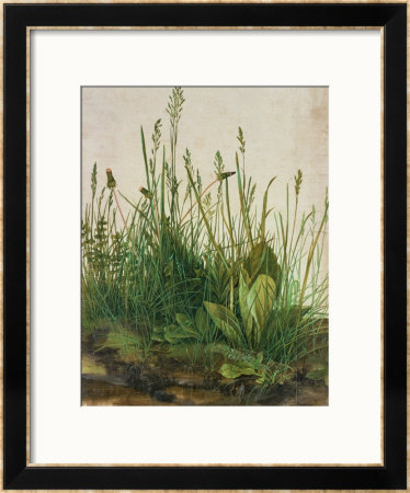 Large Piece Of Turf, 1503 by Albrecht Durer Pricing Limited Edition Print image