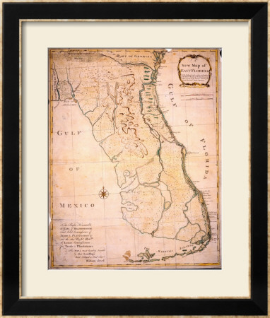 East Florida 1767 by William Stork Pricing Limited Edition Print image