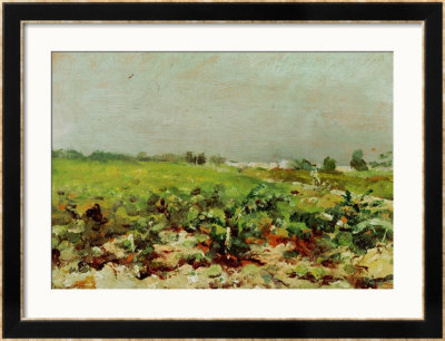 View Of The Vineyards, 1880 by Henri De Toulouse-Lautrec Pricing Limited Edition Print image