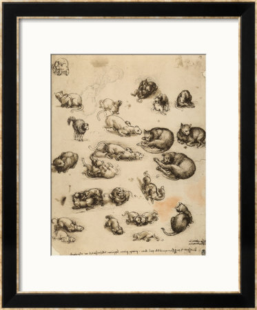 Cats, Lions And Dragons, Drawing, Royal Library, Windsor by Leonardo Da Vinci Pricing Limited Edition Print image