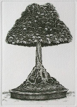 Bonzai Iv by Marc Jurt Pricing Limited Edition Print image