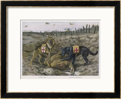Two Red Cross Rescue Dogs A German Shepherd by Louis Agassiz Fuertes Pricing Limited Edition Print image