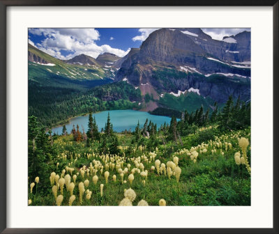Beargrass Above Grinnell Lake, Many Glacier Valley, Glacier National Park, Montana, Usa by Chuck Haney Pricing Limited Edition Print image