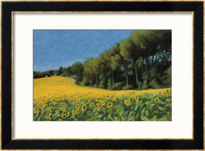 Sunflowers In Perugia by Helen J. Vaughn Pricing Limited Edition Print image