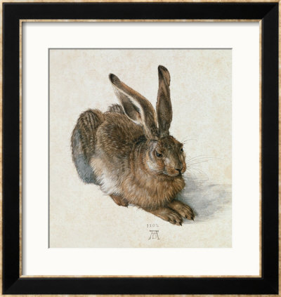 Hare, 1502 by Albrecht Durer Pricing Limited Edition Print image