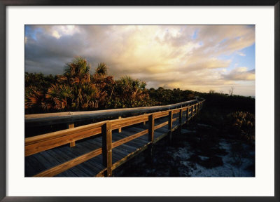 Barefoot Beach Preserve, Naples, Florida by Mark Newman Pricing Limited Edition Print image