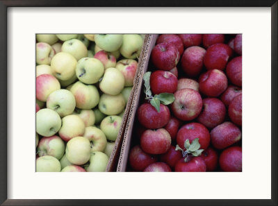 Yellow And Red Apples Sit Side-By-Side In A Grocery Store In Nebraska by Joel Sartore Pricing Limited Edition Print image