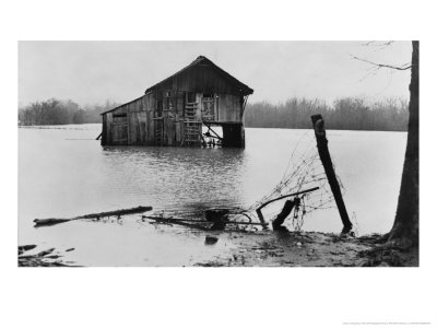 Farmyard Under Flood Waters Near Ridgeley, Tennessee, C.1937 by Walker Evans Pricing Limited Edition Print image