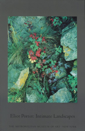 Columbine Leaves by Elliot Porter Pricing Limited Edition Print image