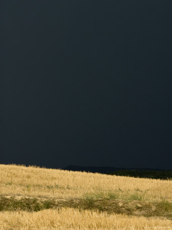 Field Of Grain Is Lit By The Sun Against An Almost-Black Storm Sky, France by Stephen Sharnoff Pricing Limited Edition Print image