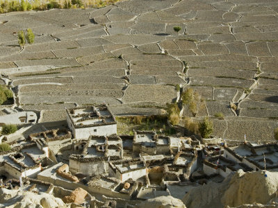 The Rooftops Of Dhi Gaon Village With Terraced Barley Fields, Mustang, Nepal by Stephen Sharnoff Pricing Limited Edition Print image