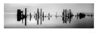 Pier Pilings by Brian Kosoff Pricing Limited Edition Print image