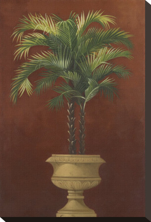 Potted Palm Red Iv by Welby Pricing Limited Edition Print image