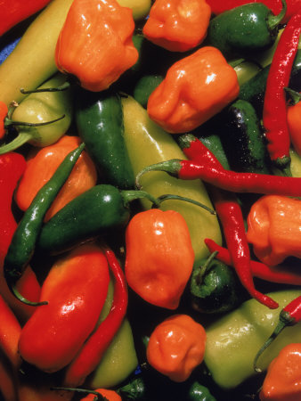 Hot Peppers by Priscilla Connell Pricing Limited Edition Print image