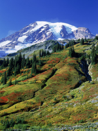 Mt. Rainier National Park, Washington by Mark Windom Pricing Limited Edition Print image