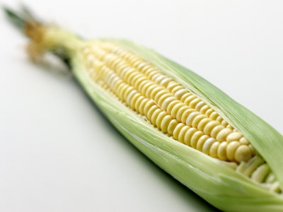 An Ear Of Corn by Craig Orsini Pricing Limited Edition Print image
