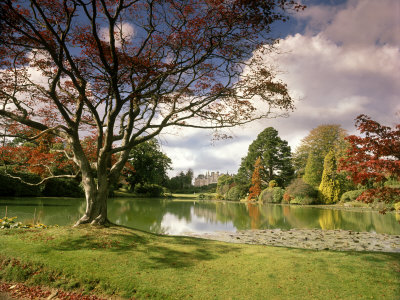 Sheffield Park Garden East Sussex, Autumn View To House Across Lake by John Baker Pricing Limited Edition Print image