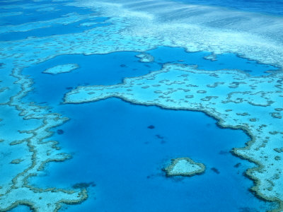 Great Barrier Reef, Australia by Rick Strange Pricing Limited Edition Print image