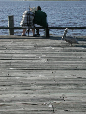 Cozy Couple Fishing, Cedar Key Pier, Fl by Pat Canova Pricing Limited Edition Print image