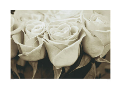 White Roses by Jane Wood Pricing Limited Edition Print image