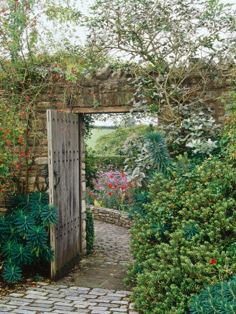 Climbing Rosa, Open Wooden Gate In Stone Wall With View Through To Autumn Borders by Mark Bolton Pricing Limited Edition Print image