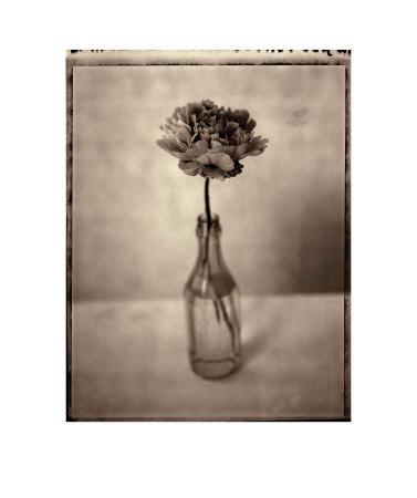 Single Peony In Bottle by Charlie Hopkinson Pricing Limited Edition Print image