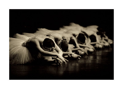 Swan Lake by Patrick Baldwin Pricing Limited Edition Print image