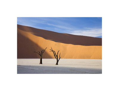 Deadvlei, Namibia by Andy Biggs Pricing Limited Edition Print image