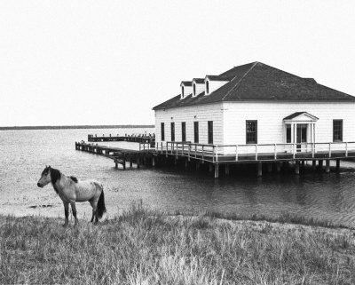 Assateague I by John M. Esparolini Pricing Limited Edition Print image