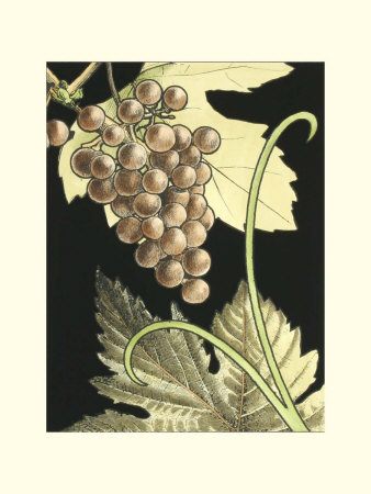Rustic Grapes Ii by Ethan Harper Pricing Limited Edition Print image