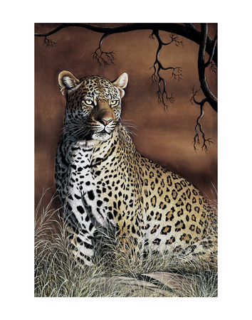 Sitting Leopard by Rajendra Singh Pricing Limited Edition Print image