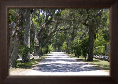 Path To The Other Side - Bonaventure by Old School Gallery Pricing Limited Edition Print image