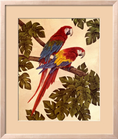 Macaws by Dianne Krumel Pricing Limited Edition Print image
