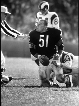Chicago Bears Dick Butkus #51 On Field Kneeling During Game Vs La Rams by Bill Eppridge Pricing Limited Edition Print image