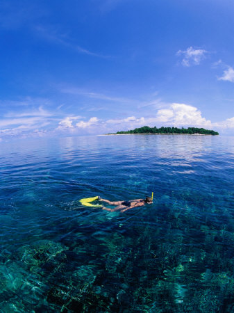 Woman Snorkelling Over Sangalaki Island Reef, East Kalimantan, Indonesia by Michael Aw Pricing Limited Edition Print image